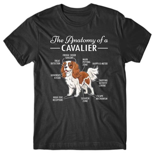 Anatomy of a Cavalier T-shirt