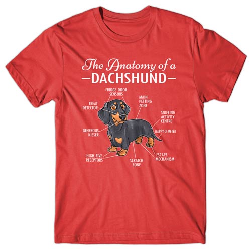 Anatomy of a Dachshund T-shirt