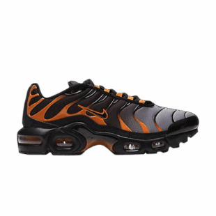 Nike Air Max Plus 'Black Team Orange' DJ4619-001