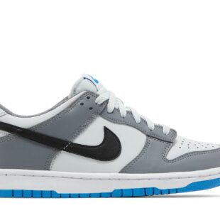 Nike Dunk Low 'Cool Grey Photo Blue' FB9109-001