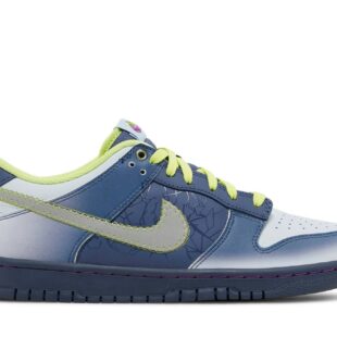 Nike Dunk Low 'Halloween - I am Fearless!' FQ8354-491