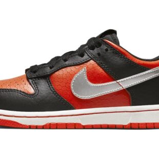 Nike Dunk Low 'Martian' DV1988-001