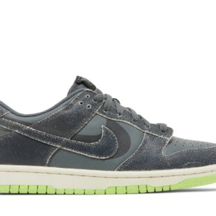 Nike Dunk Low 'Swoosh Shadow Iron Grey' DQ6215-001