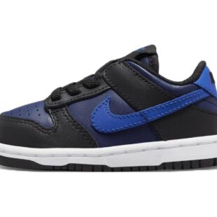 Nike Dunk Low 'Black Midnight Navy' DH9761-402