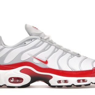 Nike Air Max Plus 'Air Max 1' DM8332-100