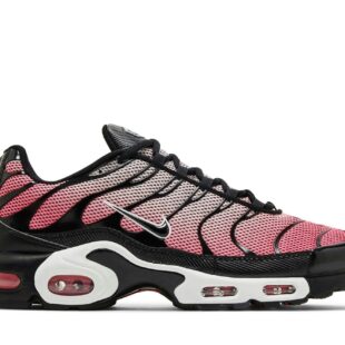Nike Air Max Plus 'All Day' HF3837-600