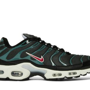 Nike Air Max Plus 'Anthracite Hasta' DC6094-002