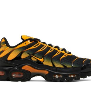 Nike Air Max Plus 'Black Sundial' DM0032-007