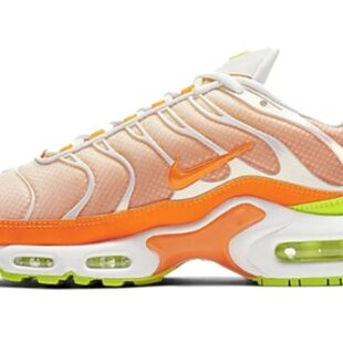 Nike Air Max Plus 'Color Flip' CI5924-531