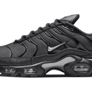 Nike Air Max Plus 'Mini Swoosh - Black Metallic Silver' DX8971-001