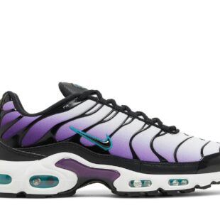 Nike Air Max Plus 'Reverse Grape' FQ2415-500