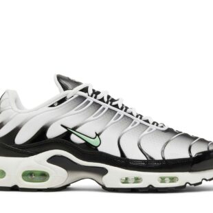 Nike Air Max Plus 'Seafoam Grey Black' DH4776-100