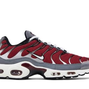 Nike Air Max Plus 'Team Red Cool Grey' DQ3983-600