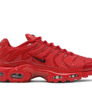 Nike Air Max Plus 'University Red' DD9609-600
