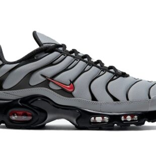 Nike Air Max Plus 'Wolf Grey' DC1936-002