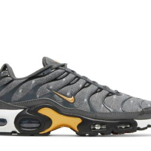 Nike Air Max Plus SE 'Iron Grey Metallic Gold' DM7570-002