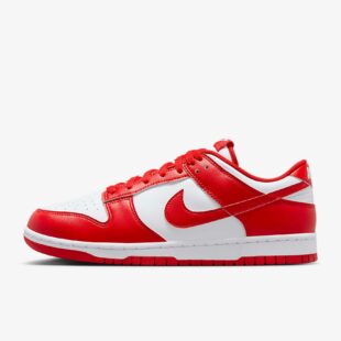 Nike Dunk Low Retro HF5441-104