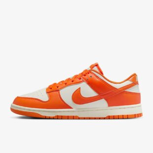 Nike Dunk LOW Retro HF5441-106