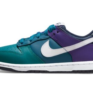 Nike Dunk Low 'Teal Purple' DH9756-300