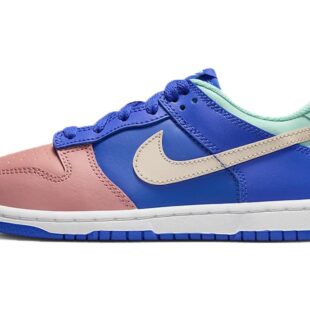 Nike Dunk Low SE 'Salmon Toe' DZ2874-400