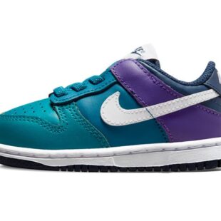 Nike Dunk Sneakers Purple/Green DH9761-300