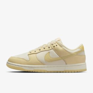 Nike Dunk Low FZ2552-100