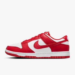Nike Dunk Low Next Nature [Direct Sale Exclusive] DD1873-116