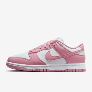 Nike Dunk Low Next Nature DD1873-112