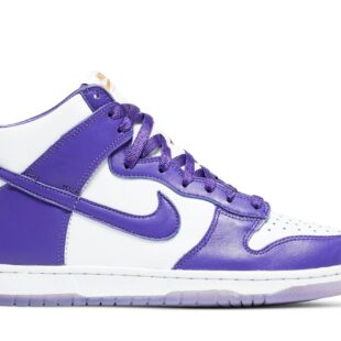 Nike Dunk High 'Varsity Purple' DC5382-100