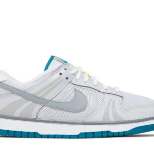 Nike Dunk Low 'Grey Fog and Blustery' FJ5473-099
