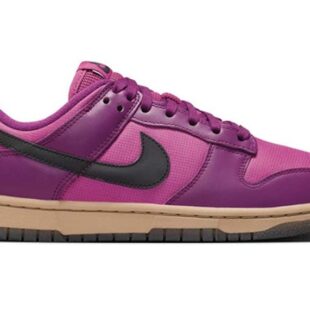 Nike Dunk Low 'Viotech' FZ2552-500