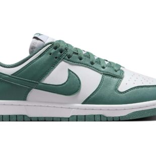 Nike Dunk Low Next Nature 'Bicoastal' DD1873-107