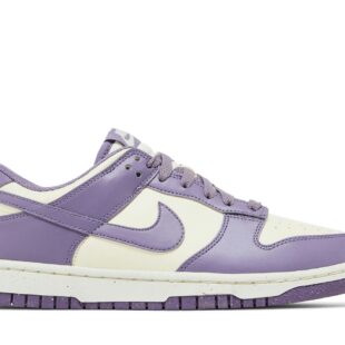 Nike Dunk Low Next Nature 'Daybreak' FZ4349-100