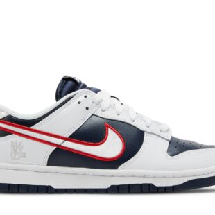 Nike Dunk Low Premium 'Houston Comets Four Peat' DZ2780-100