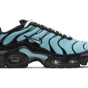Nike Air Max Plus 'Aqua' CD0609-405