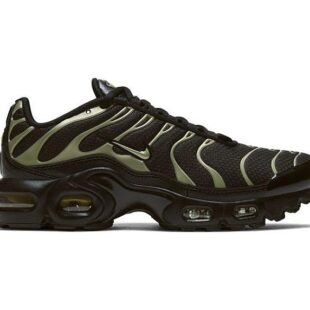 Nike Air Max Plus 'Black Metallic Gold' CD0609-011