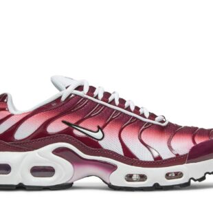 Nike Air Max Plus 'Dark Beetroot' CD0609-600
