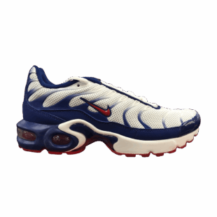 Nike Air Max Plus 'USA' CK0003-100