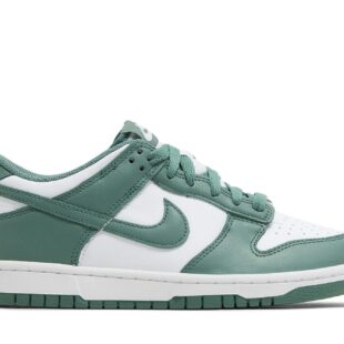 Nike Dunk Low 'Bicoastal' HF4798-100