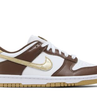 Nike Dunk Low 'Cacao Wow Metallic Gold' HM3725-171