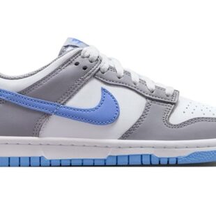 Nike Dunk Low 'Cement Royal Pulse' FB9109-121