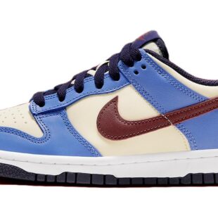 Nike Dunk Low 'From Nike, To You' FV8119-161