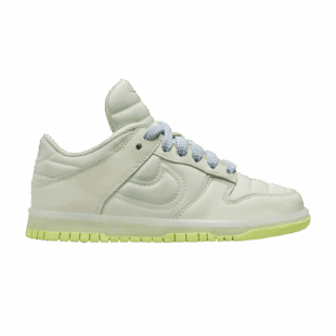 Nike Dunk Low 'Padded Tongue' FB7700-001
